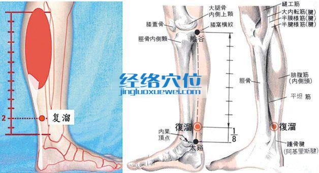復溜穴的準確位置圖