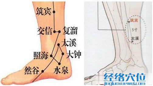 筑賓穴位位置圖