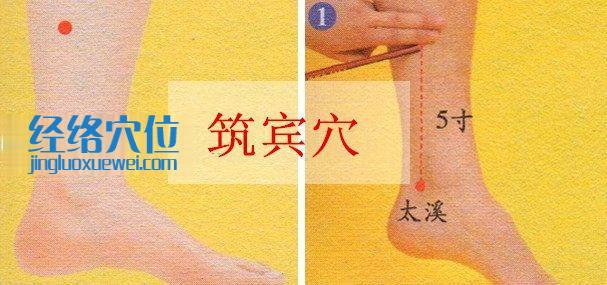 筑賓穴的準確位置圖