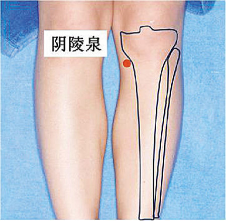 陰陵泉