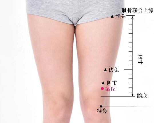 梁丘的準確位置圖及功效視頻位位置圖