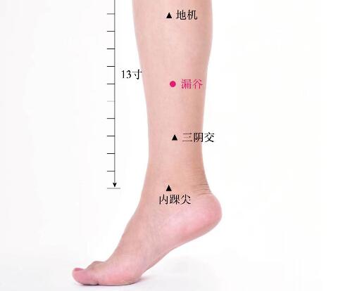 漏谷的準確位置圖及功效視頻位位置圖 漏谷的準確位置圖及功效視頻位位置圖