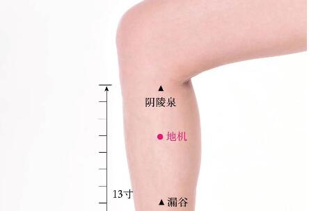 地機的準確位置圖及功效視頻位位置圖 地機的準確位置圖及功效視頻位位置圖