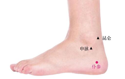 仆參的準確位置圖及功效視頻位位置圖