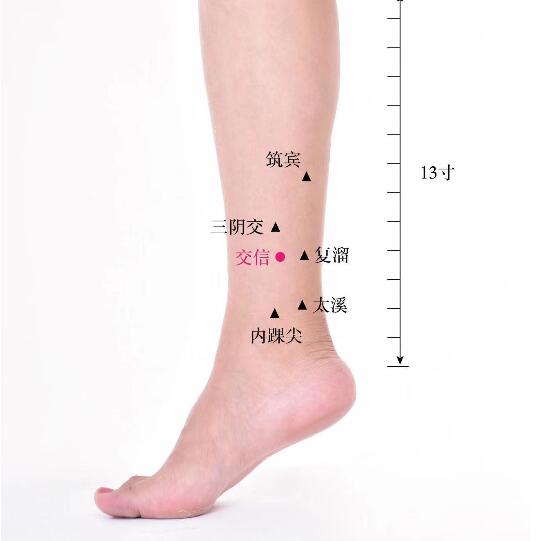 交信的準確位置圖及功效視頻位位置圖 交信的準確位置圖及功效視頻位位置圖