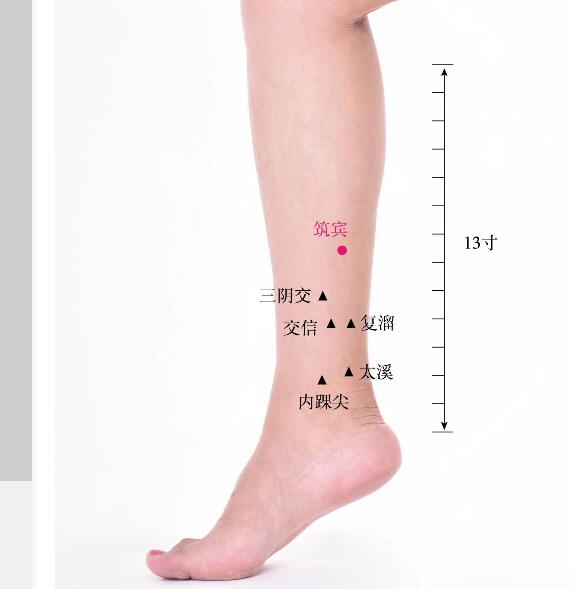 筑賓的準確位置圖及功效視頻位位置圖