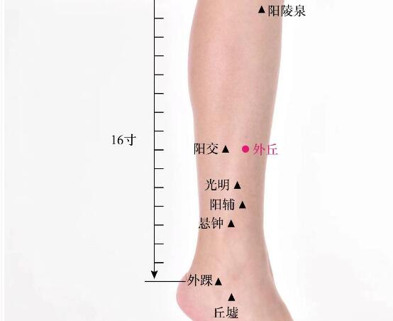 外丘的準(zhǔn)確位置圖及功效視頻位位置圖 外丘的準(zhǔn)確位置圖及功效視頻位位置圖