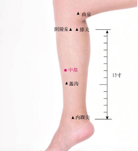 中都的準確位置圖及功效視頻位位置圖