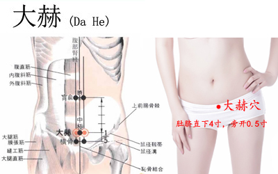 大赫穴位位置圖 大赫穴位位置圖