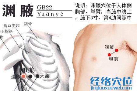 淵腋穴位圖
