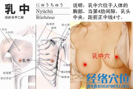 乳中穴位位置圖