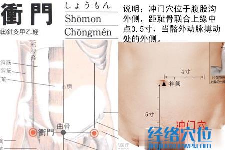 沖門穴位位置圖 沖門穴位位置圖