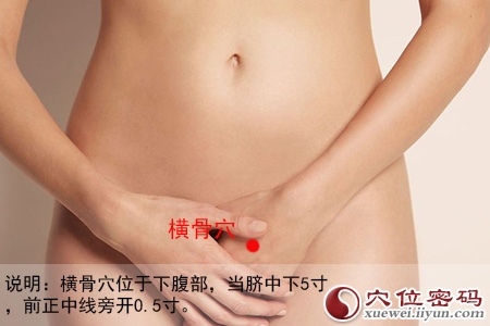 橫骨穴位位置圖 橫骨穴位位置圖