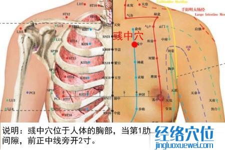 彧中穴位位置圖 彧中穴位位置圖