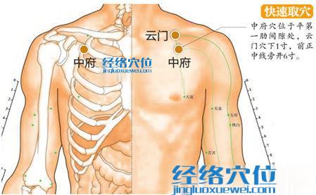 中府穴位位置圖