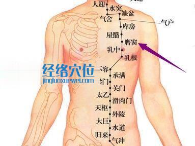 足陽明胃經(jīng)膺窗穴