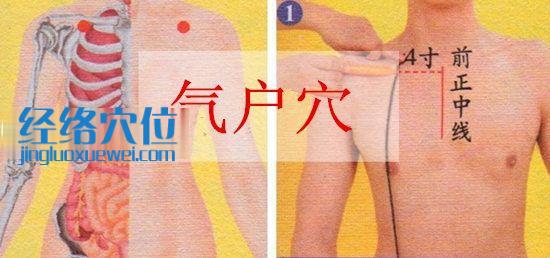 氣戶穴的準確位置圖