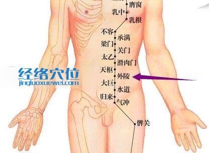足陽明胃經外陵穴