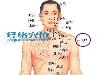 氣戶穴的位置圖
