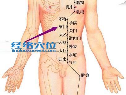 足陽明胃經梁門穴
