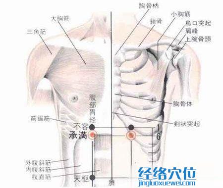 承滿穴的位置解剖分析圖