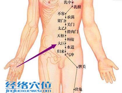 大巨穴位圖