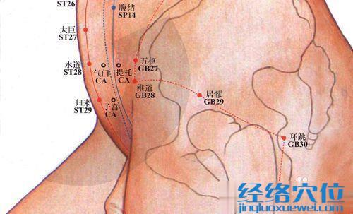 五樞穴的準確位置圖