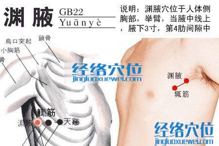 淵腋穴的位置解剖分析圖