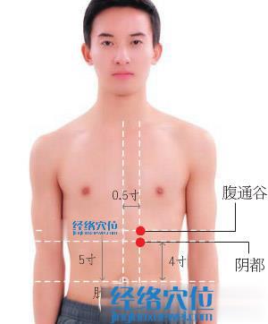 腹通谷穴位位置圖 腹通谷穴位位置圖