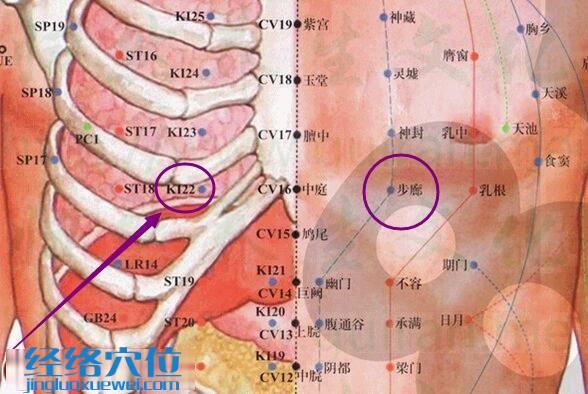 步廊穴的準確位置圖