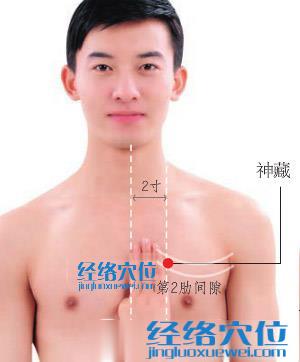 神藏穴位位置圖 神藏穴位位置圖