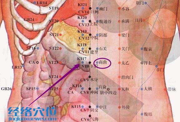 商曲穴的準確位置圖