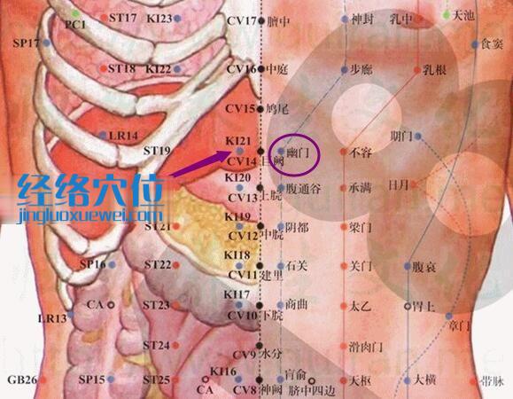 幽門穴的準確位置圖