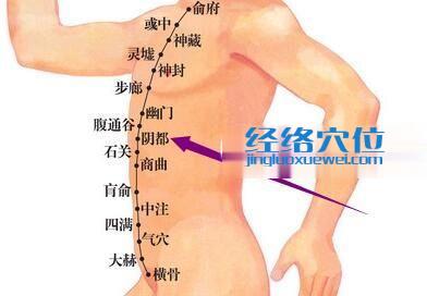 陰都穴位圖