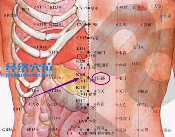 陰都穴的準(zhǔn)確位置圖