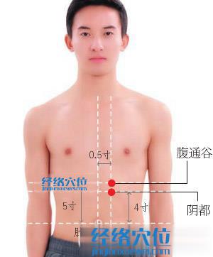 陰都穴位位置圖 陰都穴位位置圖