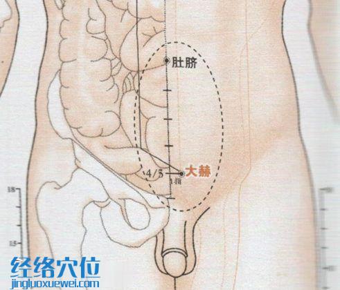 大赫穴的準確位置圖