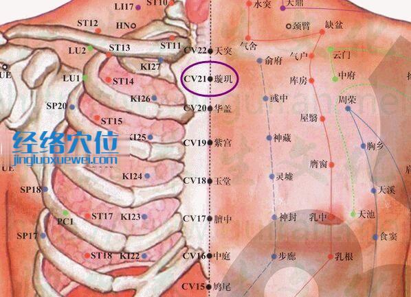璇璣穴的準確位置圖