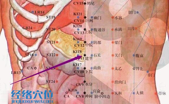 建里穴的準確位置圖