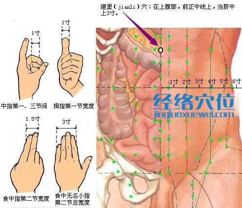 建里穴位位置圖