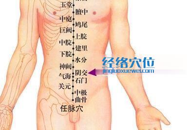 陰交穴位位置圖