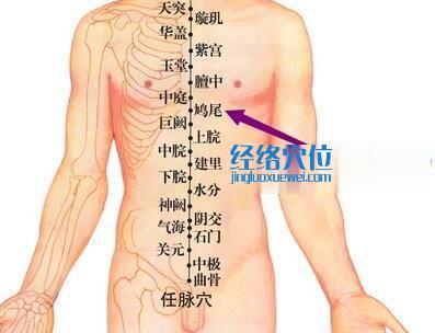 鳩尾穴位位置圖