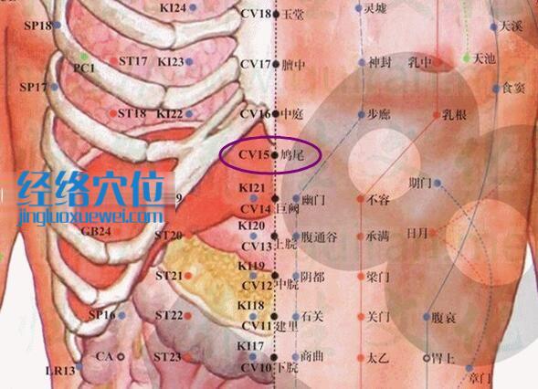 鳩尾穴的準(zhǔn)確位置圖
