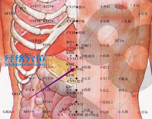 中脘穴的準(zhǔn)確位置圖