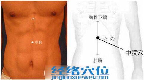 中脘穴的準(zhǔn)確位置圖