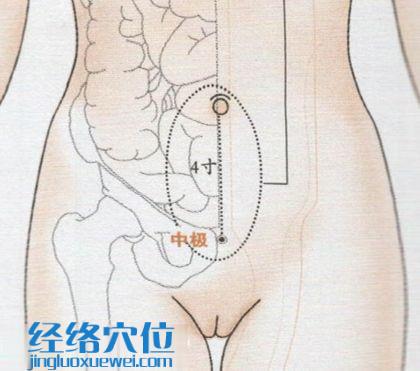 中極穴的準確位置圖