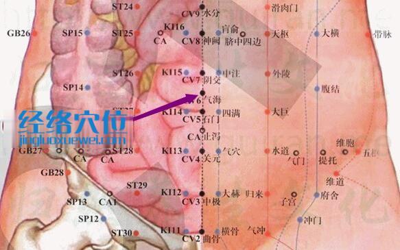 氣海穴的準確位置圖
