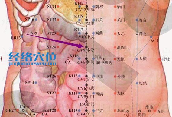 水分穴的準確位置圖
