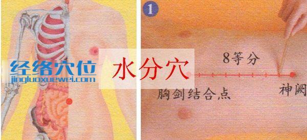 水分穴的準確位置圖