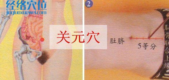 關元穴的取穴方法示范圖